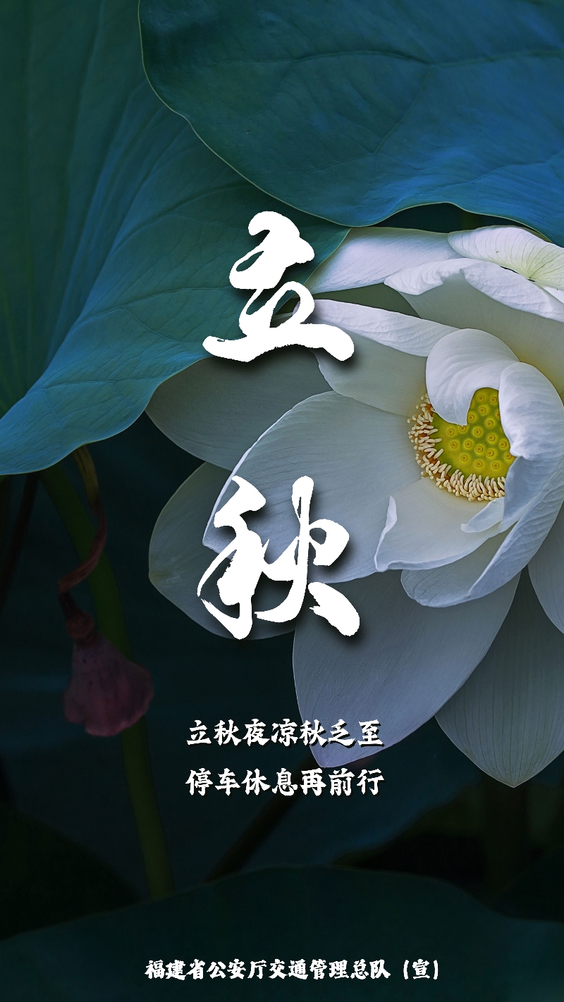 立秋节气海报